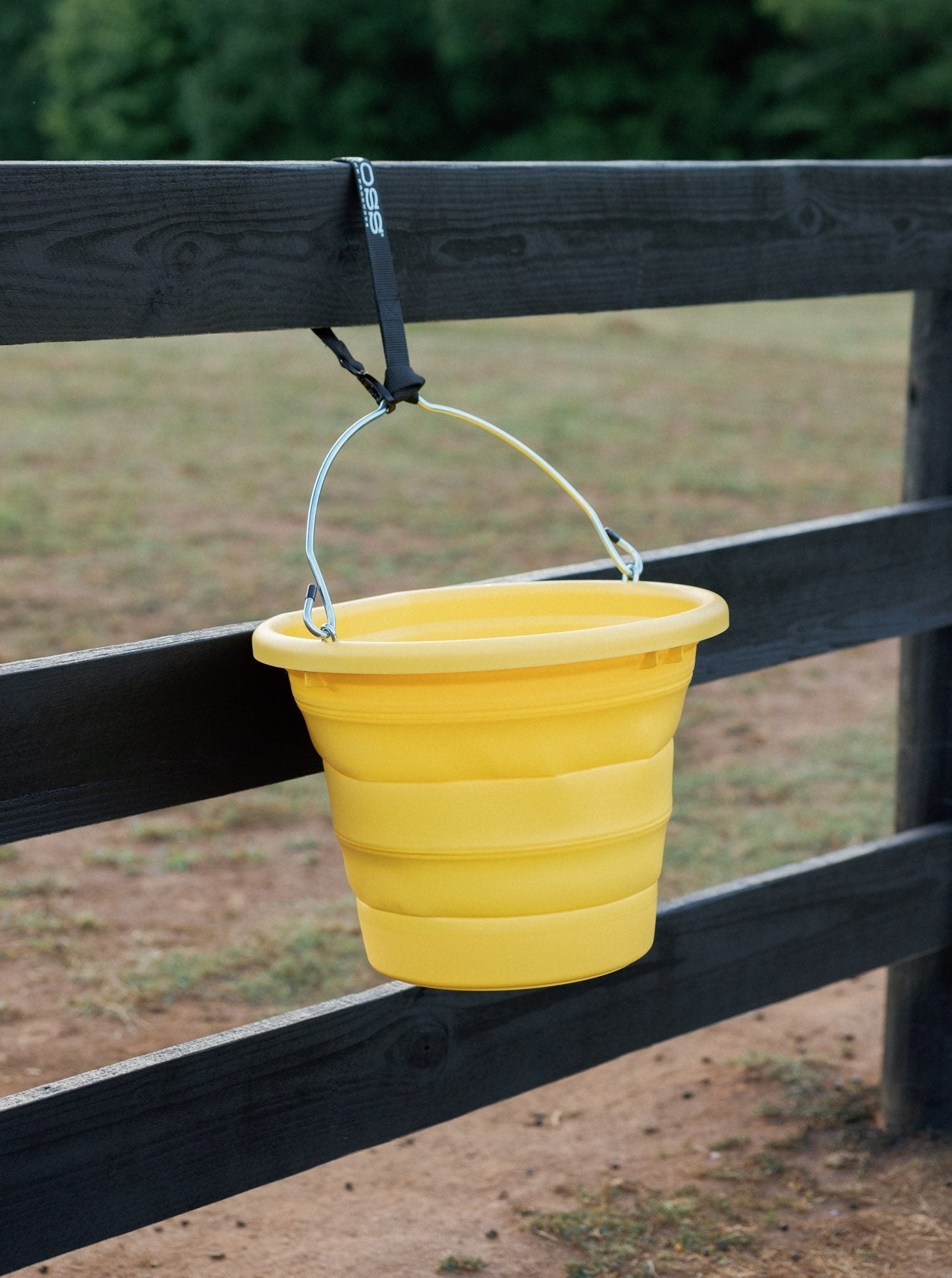 Boss Bucket - Habanero Gold