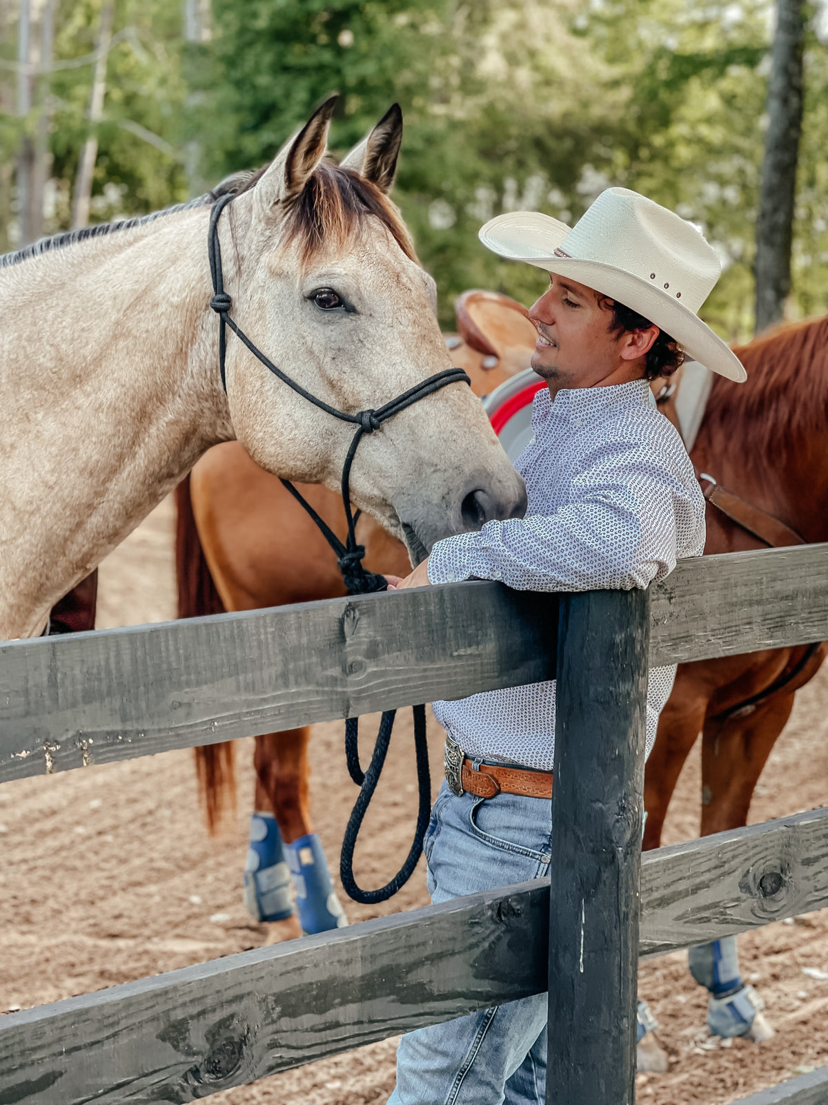 Collectius Boss Collections โ Boss Equine Products